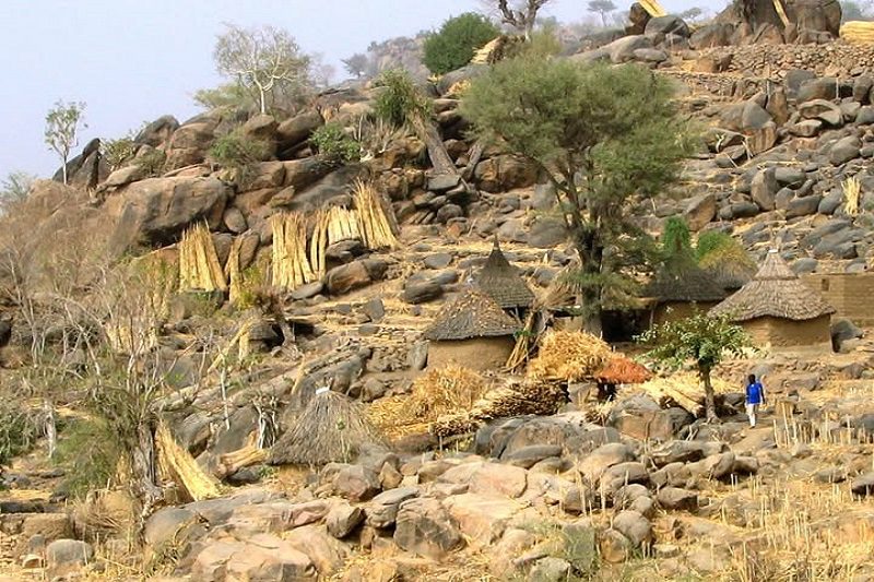 Le Massif Forestier de Yaraye